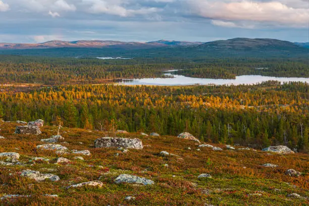 View of forest and mountains at Rogen Nature Reserve, Sweden