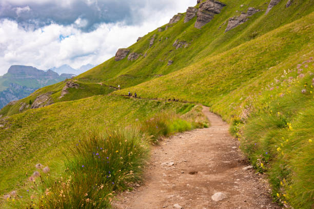 istock Hiking trail in Dolomite alps, mountain in summer 2148132463