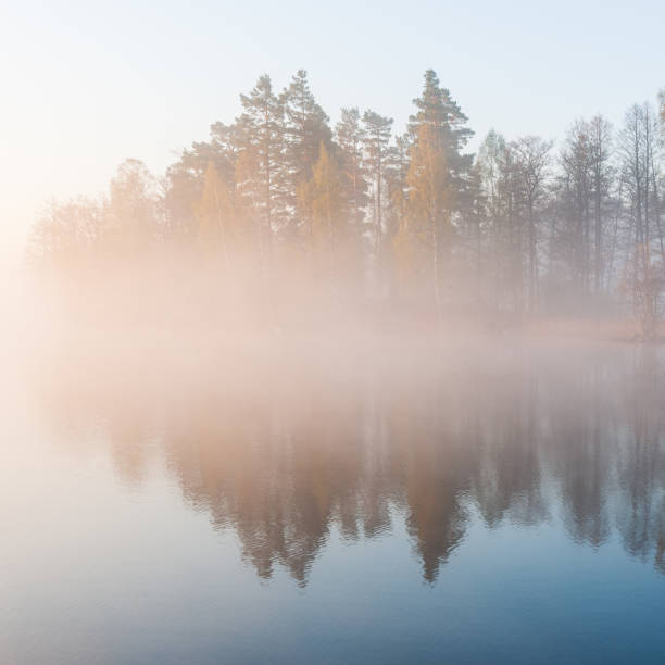 istock Still and misty lake at sunrise 2148132796