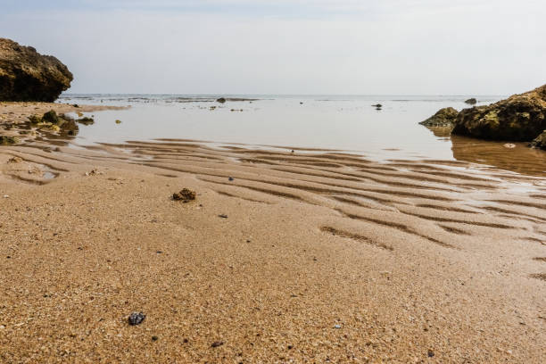 istock waves in the fine sand from the beach during ebb at the red sea 2148135287