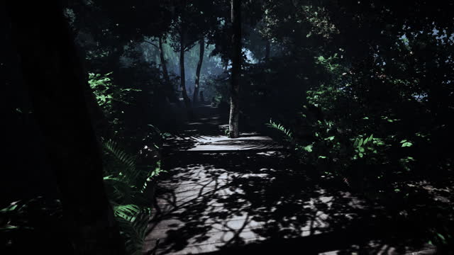 old wooden path twists through a bright jungle