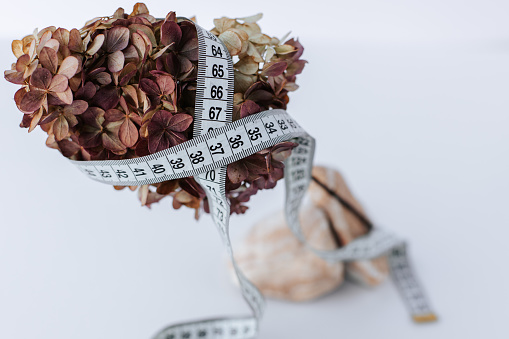 centimeter white ribbon wrapped on a dried hydrangea flower on a white background