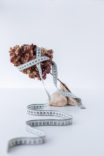 centimeter white ribbon wrapped on a dried hydrangea flower on a white background