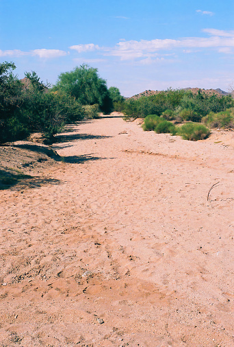 Film image of Arizona arroyo dry stream bed that provides a temporary drainage channel for flash floods