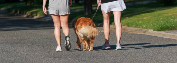 istock Two Women Walking Dog on Street 2148139665