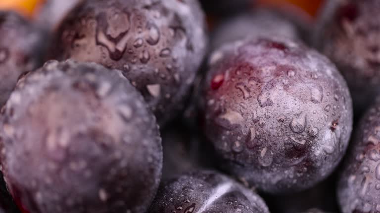 Wet purple plum on the table