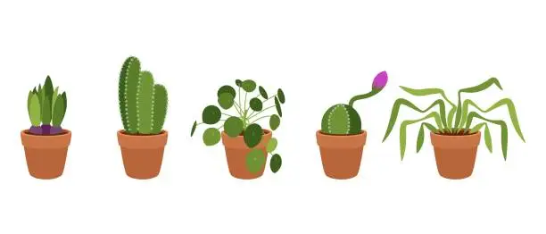 Vector illustration of Set of small indoor plants in pots. Vector on white background.