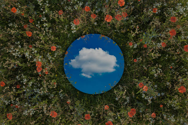 istock Circular mirror reflecting single white cloud and surrounded by spring meadow flowers. 3D Rendering 2148144009
