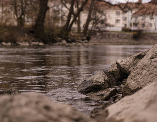Serene river flowing through leafy riverbank with winter trees.