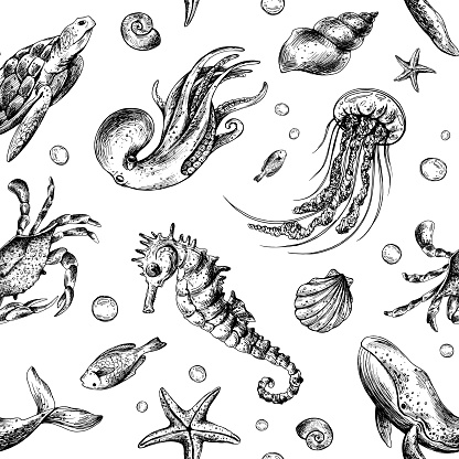 Underwater world clipart with sea animals whale, turtle, octopus, seahorse, starfish, shells, coral and algae. Graphic illustration hand drawn in black ink. Seamless pattern EPS vector
