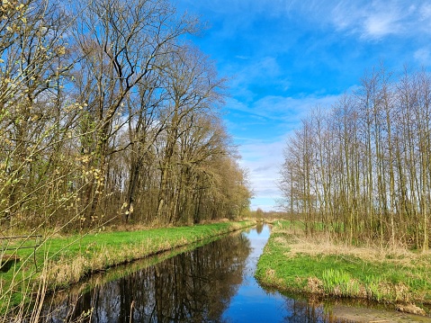 Bos, sloot, wandelen in de Nederlandse natuur.