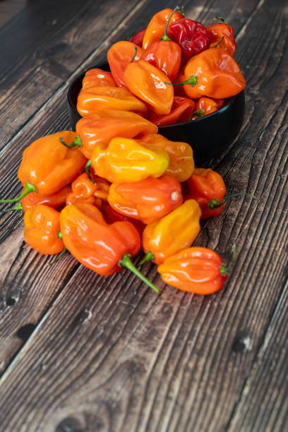 Habanada - Sweet Pepper - cross between banana pepper and habanero pepper