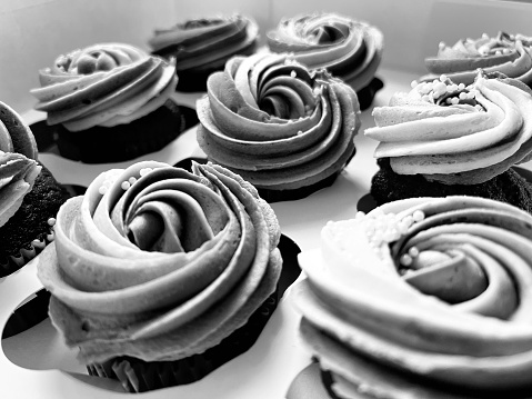 Rows of cupcakes with swirled frosted icing