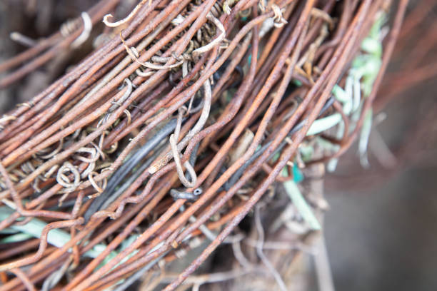 Old coiled and rusty wires, disused material, dismissals. Close up