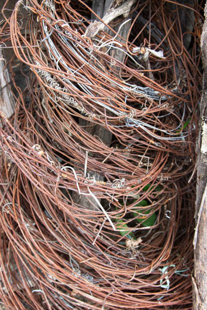 Old coiled and rusty wires, disused material, dismissals. Close up