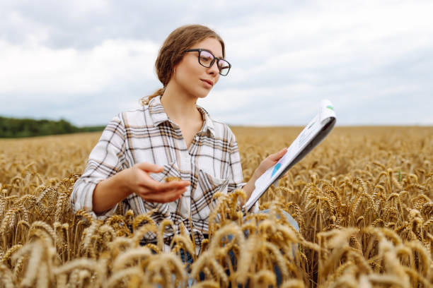 istock Young farmer checks the quality and growth dynamics. 2148149434