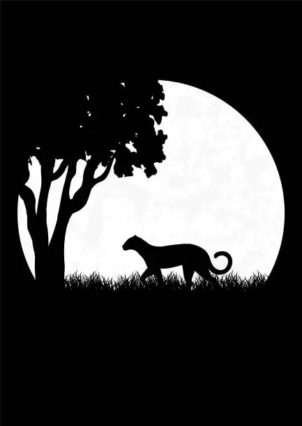 Vector illustration of Silhouette of walking leopard in the night savannah. Spring Africa dusk meadow. Black panther hunting under full moon