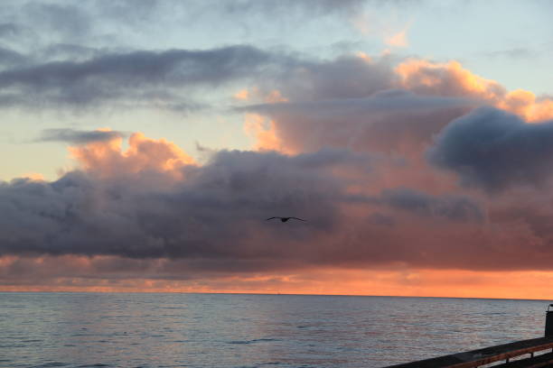 istock Sunset at Venice Beach, California 2148149729