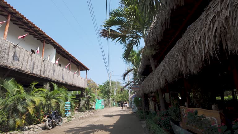 Thatched roofs line Palomino's tropical street, Colombia