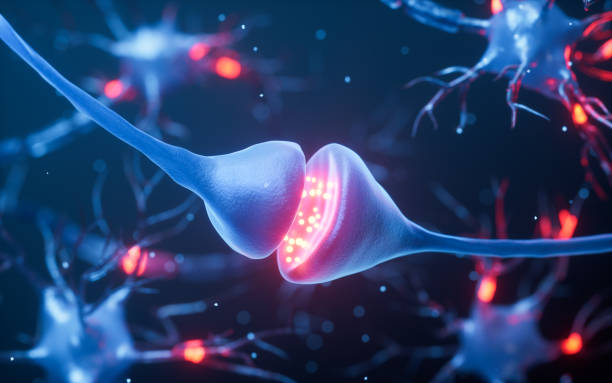 istock Biology nerve cell with biomedicine concept, 3d rendering. 2148150948