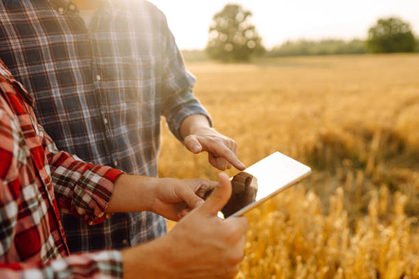 istock Two Farmers working with Tablet on wheat field. 2148152665