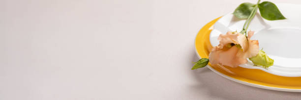 istock Peach Eustoma flower on white and yellow plates close up. White pink background. Banner. Copy space 2148157497