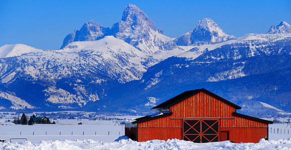 Teton Mountain range in Wyoming in winter snow covered red barn with blue sky and forest of pine trees