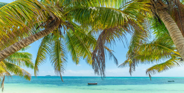 istock Wooden boat in a tropical beach shore 2148159444