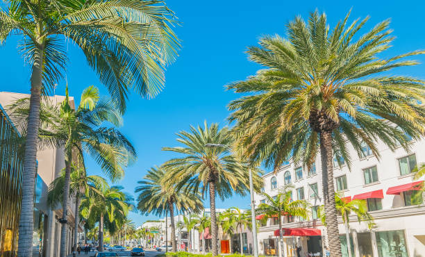 istock Palm trees in world famous Rodeo Drive in Beverly Hills 2148162116