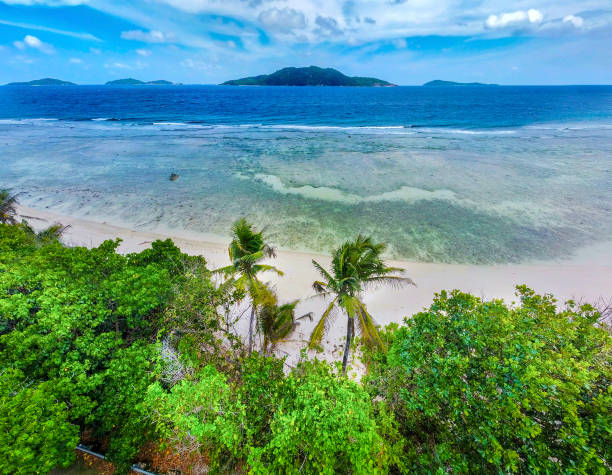 istock Palm trees by the sea in a tropical beach 2148162676
