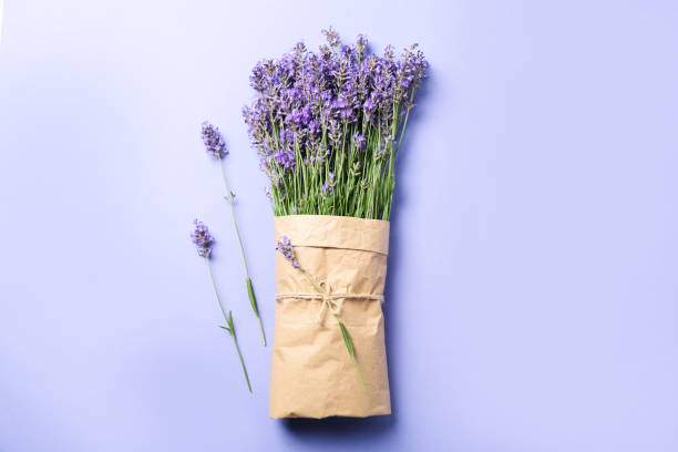 istock Lavender in craft paper on violet background 2148162776