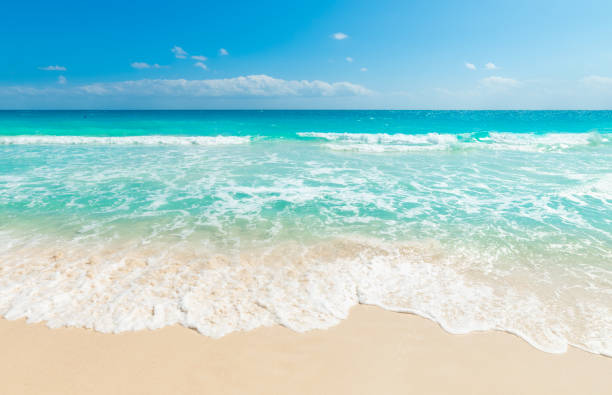 istock Sun shining over a tropical beach with turquoise water 2148162952
