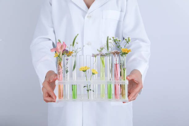 istock Woman holds test tubes with flower against light background 2148163369