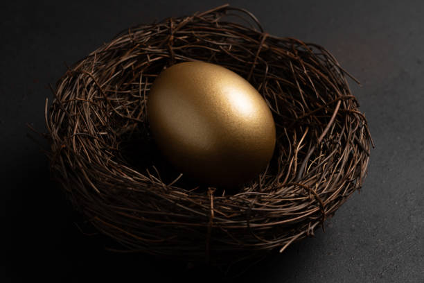 istock Easter Gold egg in nest on black background. Minimal concept. 2148166895