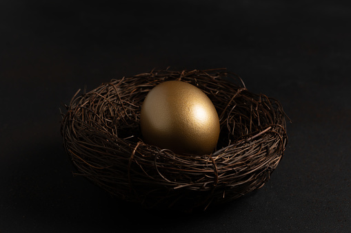 Easter Gold egg in nest on black background. Minimal concept.