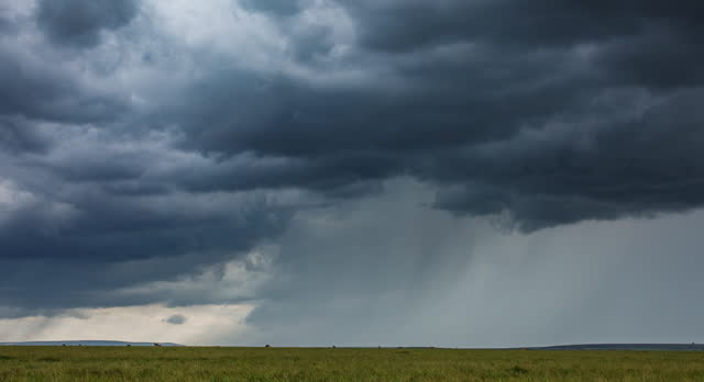 Timelapse of dark storm cell clouds forming in the open plains of Africa