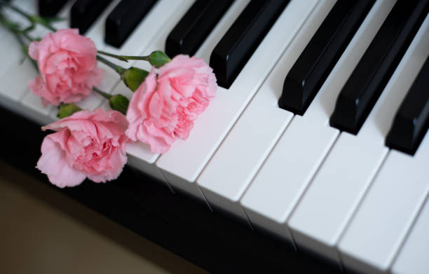 istock Pink flower on black and white piano keys 2148169587
