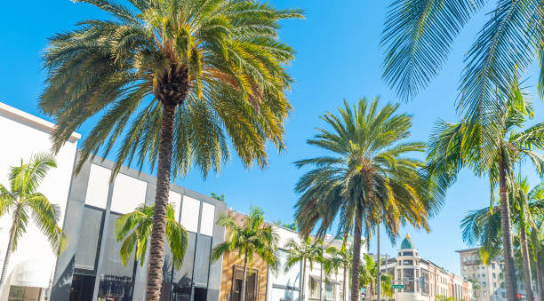 istock Blue sky over world famous Rodeo Drive in Beverly Hills 2148169689