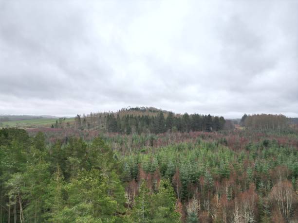 istock Loirston Loch Aberdeenshire 2148169713