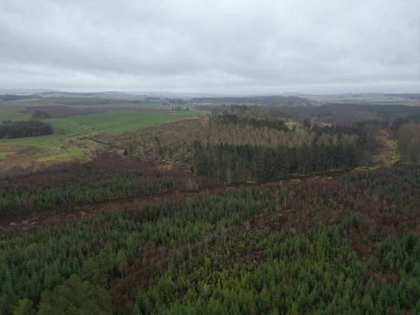 istock Loirston Loch Aberdeenshire 2148169851