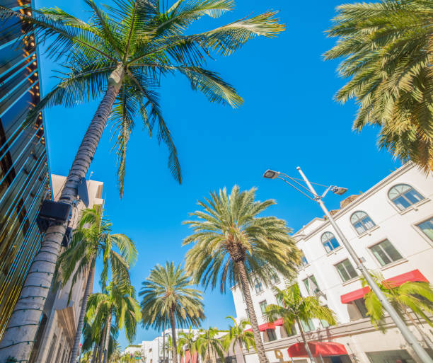istock Palm trees in world famous Rodeo Drive in Beverly Hills 2148170221