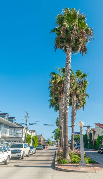 istock Palm trees under a blue sky in Balboa Island 2148170303