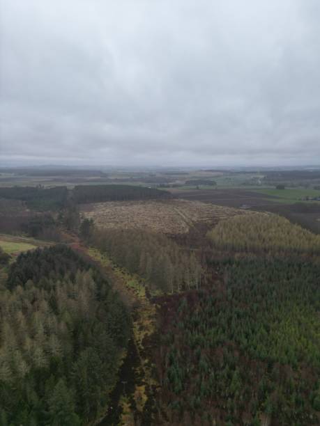 istock Loirston Loch Aberdeenshire 2148170381
