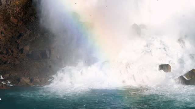 Niagara Falls with Rainbow and Birds