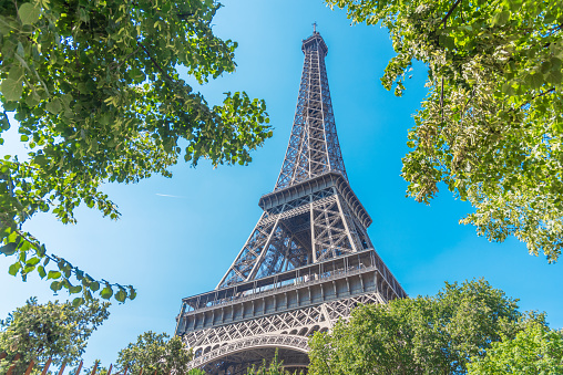 World famous Eiffel tower seen through green leaves under a blue sky. Paris, France