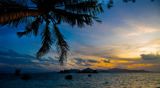 istock Sunset in a tropical island  with palm trees 2148170806