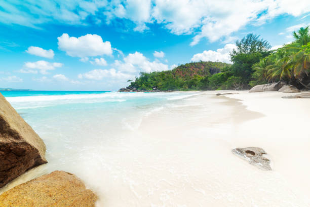 istock Blue sky with clouds over a tropical beach with white sand 2148170889
