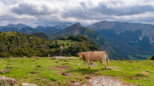 Valle de Belagua, Navarra, Spain.