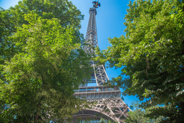 Eiffel Tower in Paris, France, on Christmas Day 2023, in silhouette contrasted with a leafless tree