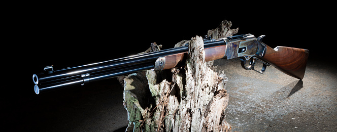Cowboy style lever action rifle with colorful oiled stock and color casehardened receiver resting over a dead log.